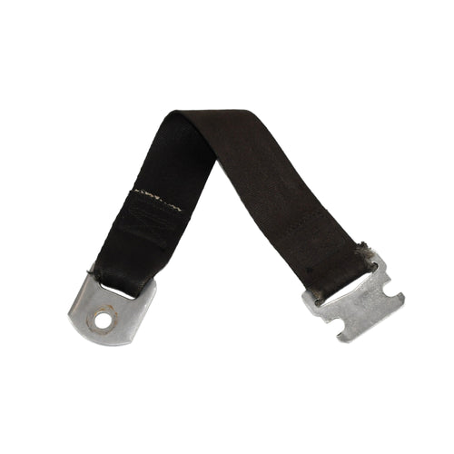 Flight of the Pterosaur Seatbelt
