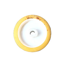 Splash Lagoon Running Wheel